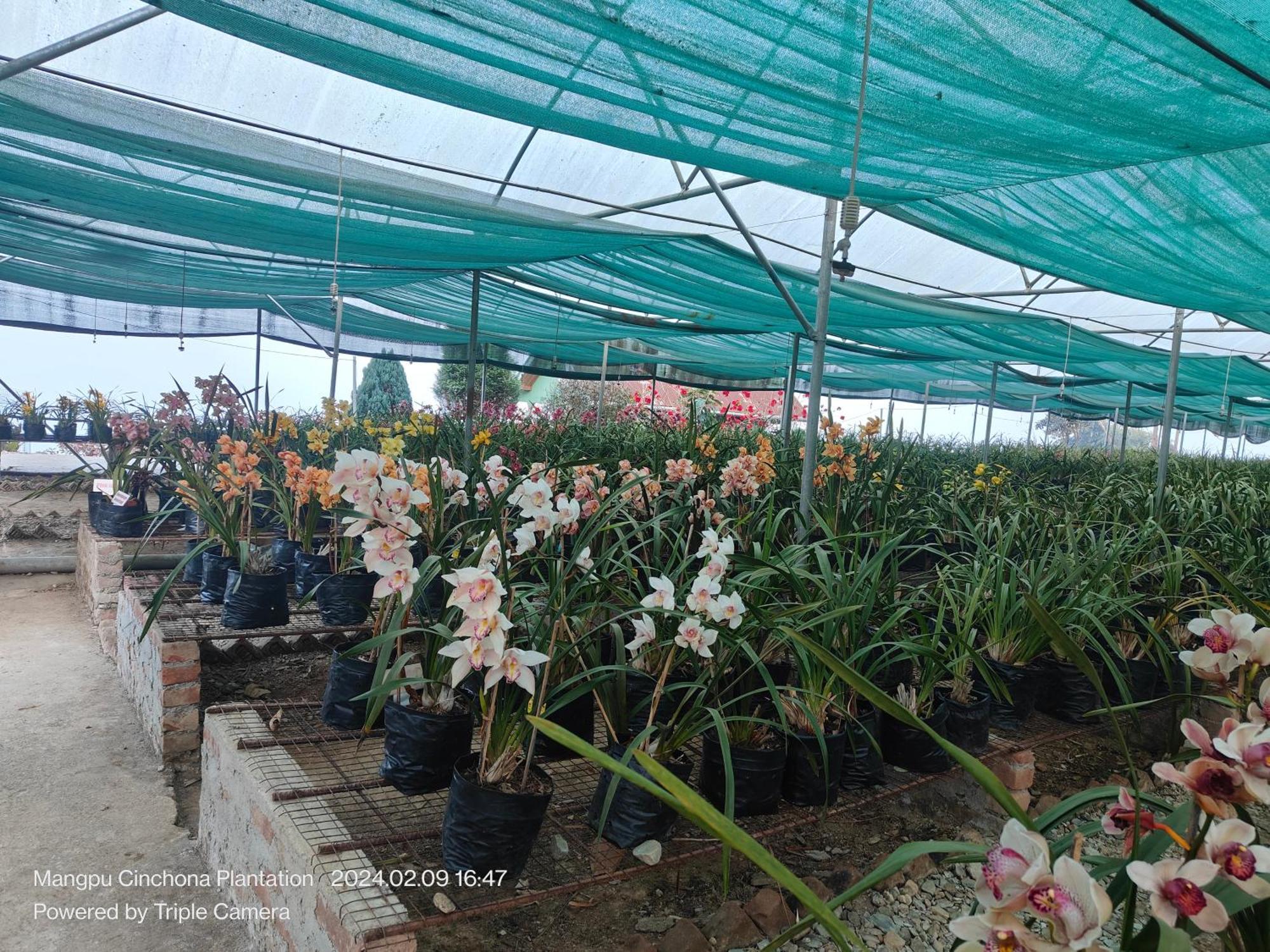 Vilasa Homestay Darjeeling  Bagian luar foto